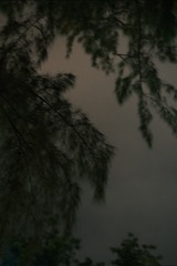 8662C152-1D10-4AC1-8FA8-96EC5A8022B1/L0/001