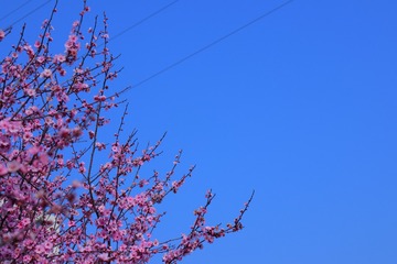 42C9449A-7E2F-469A-BF93-560462068A1D/L0/001