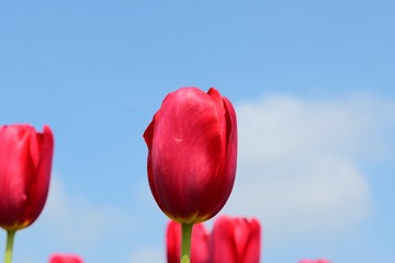 1000003567