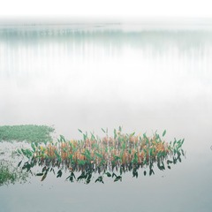 BB0CD5ED-C9B3-4696-B668-1AF0835B94FE/L0/001