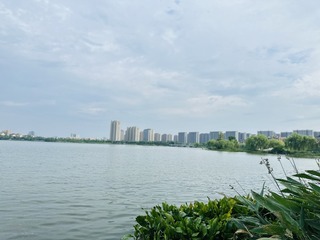 8F0C076E-0106-4A97-9ACD-6EA8842A73AA/L0/001