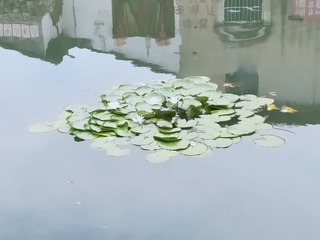 720