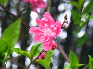 5DC10BFA-3F79-4175-B4B7-47ED6048CB0F/L0/001