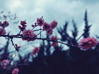 258E2D22-8E4F-490E-8CEA-0FD6AEBFB947/L0/001