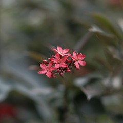C0DAEB65-3212-4CAA-B874-C5CCD475CFCB/L0/001