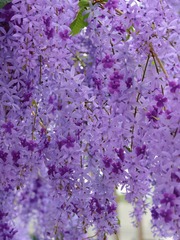 503C260A-C727-43AB-8B2A-1946043369E4/L0/001