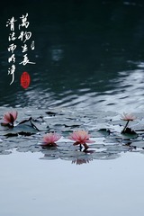 685EF097-FFA8-4A5E-845A-4C01BC8F10D5/L0/001