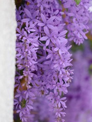 E7D4107F-3496-4255-920E-51FCA4965530/L0/001