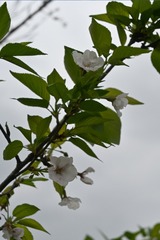 B840197F-BB30-48F9-8462-C42DDC18F52D/L0/001