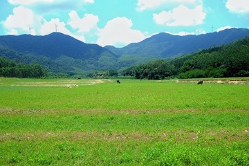 60EA7CA6-77A3-4E4A-886D-B88FDC4D05B3/L0/001