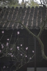 4283C729-309C-43C0-81A8-F869028B33D9/L0/001