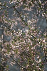 43B90AD9-3FA6-47E0-A16A-98F508A3E1DA/L0/001