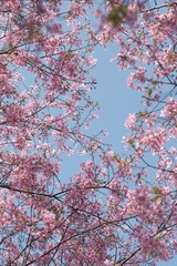 726C9C26-9AEA-4788-A2B4-0F9A701B31C7/L0/001