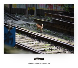 1000013360