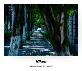 1000013364
