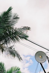 35D0B445-BE11-4C30-981C-7B38502A8193/L0/001