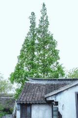 61260066-9A74-4B84-B6C5-B397FAE69285/L0/001