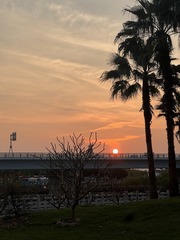 C0D02382-8D52-4F25-AE15-A2784E4F1491/L0/001