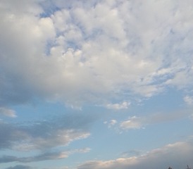 16516
