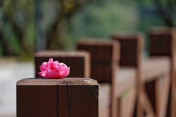 658217