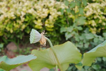 BD99360B-9A3E-44CB-AC00-73E8C5EE70E7/L0/001