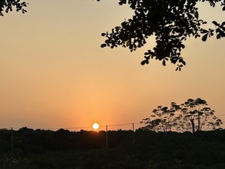 C276D038-6E30-497F-97B4-5A44D711810B/L0/001