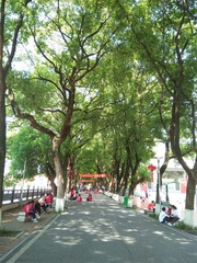 9B2E3743-59F0-4128-8D8C-7DEE433F66BF/L0/001