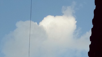 53283