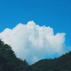 55366