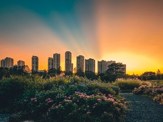 D8265338-BD20-4A13-A6CA-72E23D0714CB/L0/001