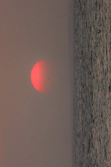 AD657C5C-AD03-4415-BECC-2A8CD5F647FF/L0/001