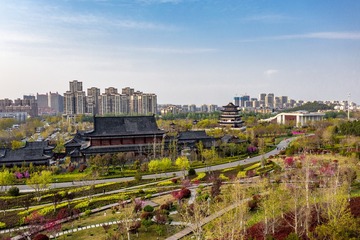 DJI_0045
