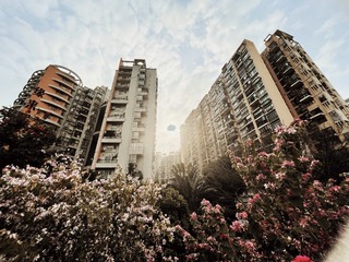 FA53C8BD-B2A7-46C5-B322-5C270F2557C4/L0/001