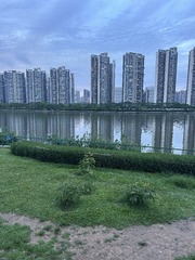 409A0442-3386-4F43-A02C-E21FF3914E21/L0/001