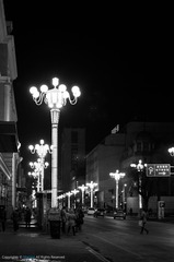 IMGP2730.jpg