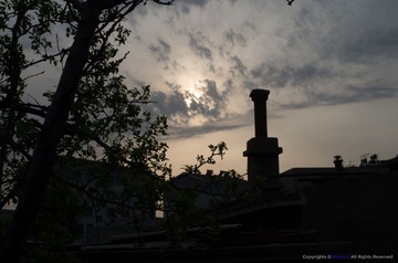 IMGP4968.jpg