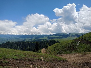 598242