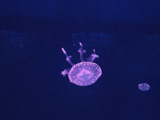 5071