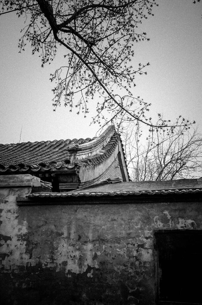 20130323-_AAC9941<br />