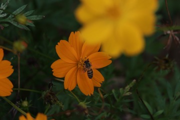C8375AB4-2A5D-4385-94EC-473BC4237D20/L0/001