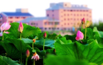 _MG_7841-90