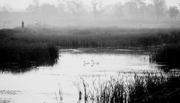 IMG_9111-90