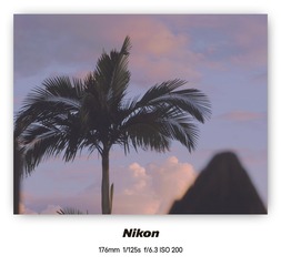 1000069782