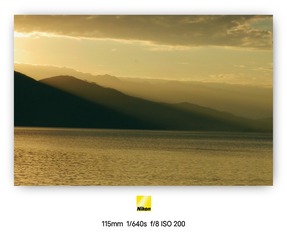 1000069781