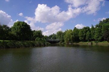 IMGP0044.JPG