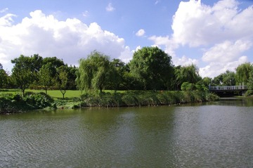 IMGP0045.JPG
