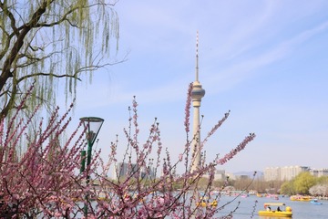 D94D3D9D-B190-41F9-845F-B82692108C05/L0/001