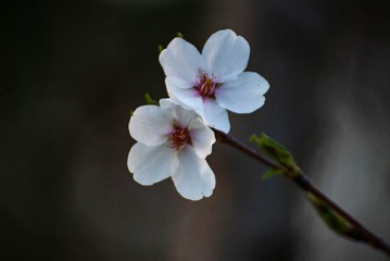172168