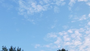 2428038