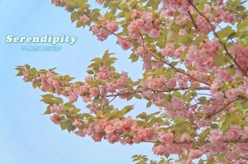 70EFD1D8-2C89-4044-812B-69F02FC0A6E5/L0/001